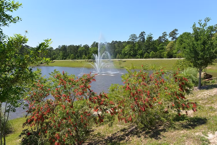 valley ranch_lakes