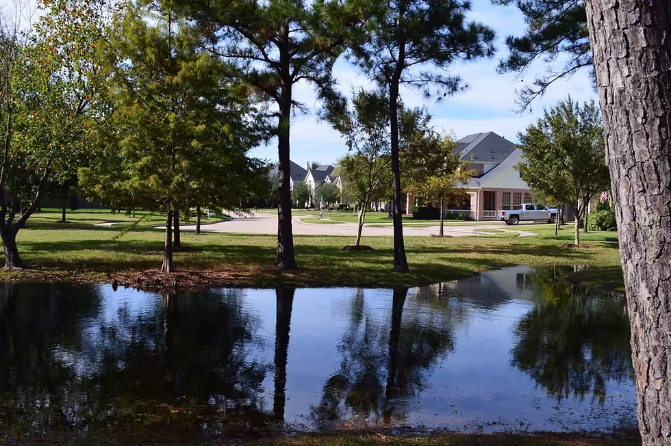 cole crossing 6