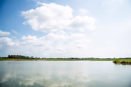 riceland lake.jpg